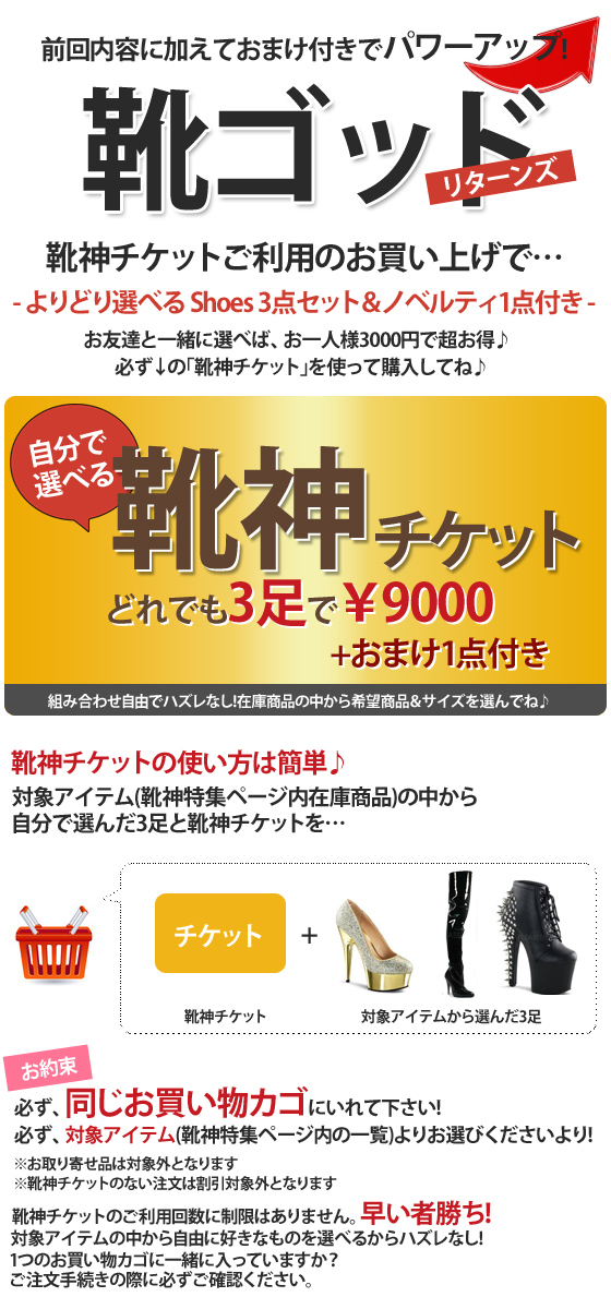 2015年！｢靴神｣がさらに神度がアップ！靴神リターンズ!靴×3足　9000円の最強靴袋