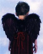 ベイビーブラックエンジェル　ターキー(七面鳥）