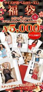 ランジェリー福袋5000円!!セクシー下着5点セット★ベビードール/テディ/ビスチェ/ブラ/テディ/パンティ