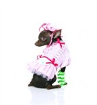 カントリー子犬コスチューム