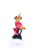 子犬の女王コスチューム