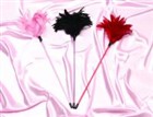 Shirley★Holiday★SEXY☆フェザー★テイクラー♪